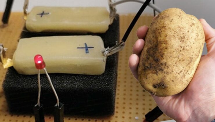 Şarjı Bitince Yiyebileceğiniz Pil İcat Edildi