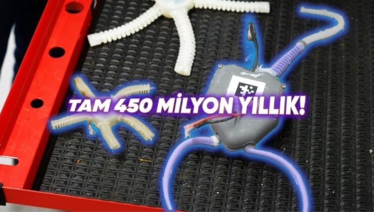 Bilim İnsanları, Soyu Tükenmiş 450 Milyon Yıllık Deniz Organizmalarını Taklit Eden Bir Robot Geliştirdi