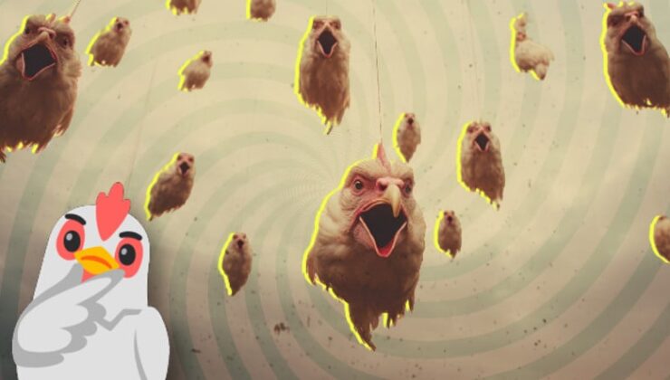 Bir Vakitler Avrupa’da Gökyüzünden Binlerce Tavuk Başı Yağmıştı: Sebebini ise 40 Yıl Düşünseniz Aklınıza Gelmez!