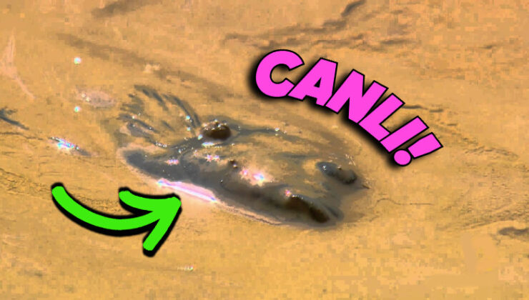 Afrika’da Kuru Topraktan Nasıl Oluyor da Canlı Balıklar Çıkıyor? Üstelik Yıllar Uzunluğu Oradalarmış!