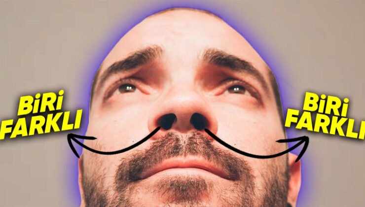 Bilime Nazaran Aslında İki Burun Deliğimiz de Farklı Kokuları Algılıyor! Pekala Fakat Nasıl?