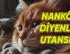 Bir de Nankör Derler: Kedilerin, Konuttaki Öbür Canlıların Vefatına Yas Tuttuğu Ortaya Çıktı