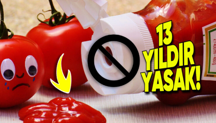 Fransız Okullarında Ketçabın Yasak Olmasının Sağlıktan da Öte Sebebi (Bu Kadar Kasmasanız mı…)