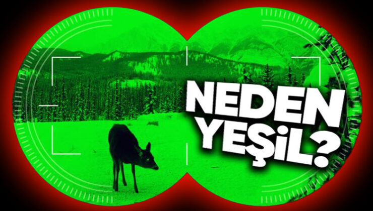 Gece Görüş Kameralarının Neden Çoğunlukla Yeşil Olduğunu Öğrenince “Çok Mantıklıymış!” Diyeceksiniz