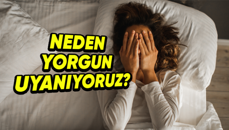 Gereğince Uyumuş Olsak Bile Sabah Kalktığımızda Neden Hâlâ Yorgun Hissederiz?