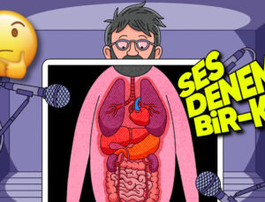 İç Organlarımız Bize Bu Kadar Yakın Olmasına Karşın Neden Çalışma Seslerini Duyamıyoruz?