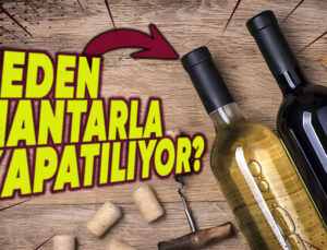 Şarap Şişelerinin Yüzyıllardır Mantarla Kapatılmasının Ardındaki Bilimsel Sebepler