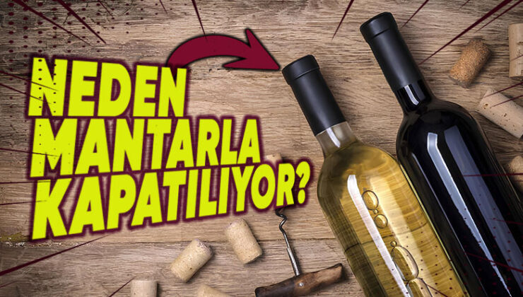 Şarap Şişelerinin Yüzyıllardır Mantarla Kapatılmasının Ardındaki Bilimsel Sebepler