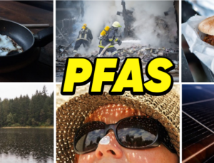 ‘Sonsuza Kadar Varlığını Sürdüren’ Bir Kimyasal Olan PFAS İçin Ne Kadar Endişelenmeliyiz?