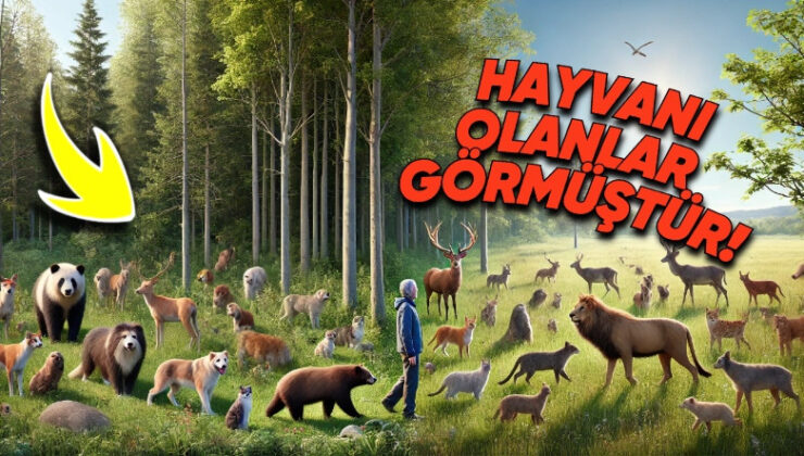 Tüm Memelilerde Olup İnsanlarda Olmayan Şeyin Ne Olduğunu Öğrenince ‘Keşke Bizde de Olsaymış!’ Diyebilirsiniz