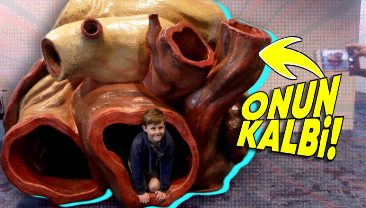 Aslında Onu Yakından Tanıyorsunuz: Hangi Hayvanın Kalbi Dakikada Yalnızca ‘2’ Sefer Atıyor?