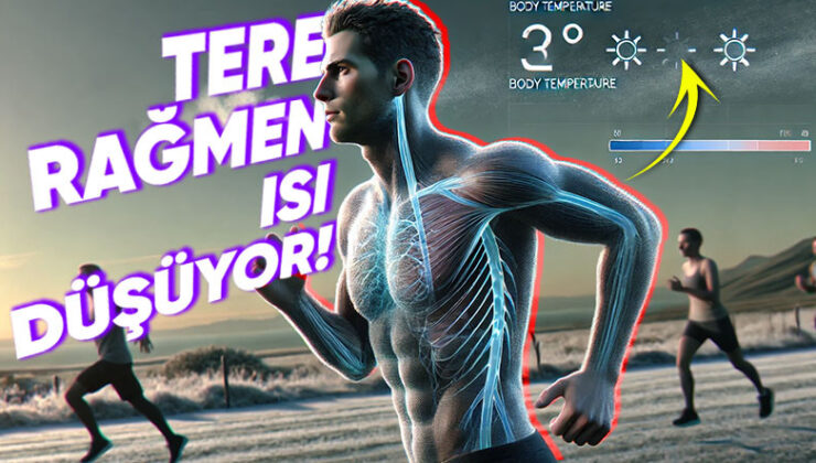 Beden Sıcaklığımız Terlediğimiz Anda Yükselmek Yerine Neden Düşüyor? Sebebini Öğrenince Bedenimizin İşleyişine Hayran Kalacaksınız