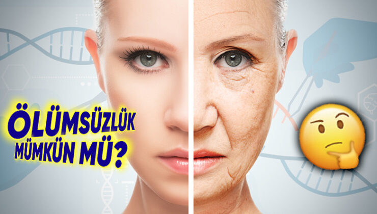 Bilim, Yaşlanmayı Sahiden Durdurabilecek mi Yoksa Yalnızca Hayalden mi İbaret?