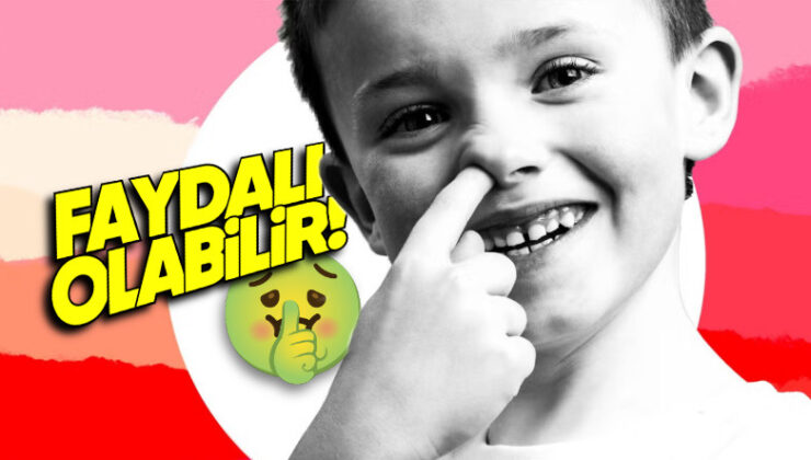 Çocuklar Neden Kendi Sümüklerini Yiyor? Farkında Olmadan Hepimiz Yapıyormuşuz!