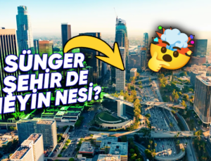 Hollywood’dan Sünger Şehir’e: Los Angeles Neden Kendini “Sünger Şehir” Olarak Tanımlamaya Çalışıyor?