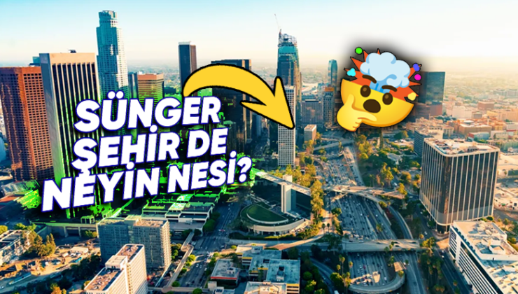 Hollywood’dan Sünger Şehir’e: Los Angeles Neden Kendini “Sünger Şehir” Olarak Tanımlamaya Çalışıyor?