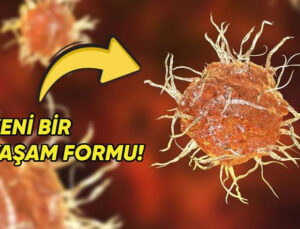 Ömür ile Mevt Ortasında Kalmış Canlılar Var! Bilim İnsanları Yeni Bir Hayat Formu Keşfetti