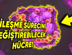 Yeni Bir Hücre Keşfedildi ( Varlığı 100 Yıldır İddia Ediliyormuş!)