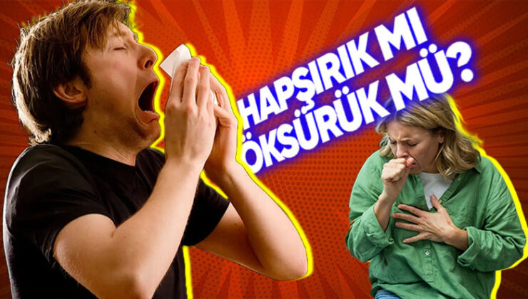 Bedenin Savunma Düzeneklerinden Olan Öksürme ve Hapşırmaya Beyin Nasıl Karar Veriyor? (Öksüreceğimiz Yerde Hapşıramaz mıyız?)