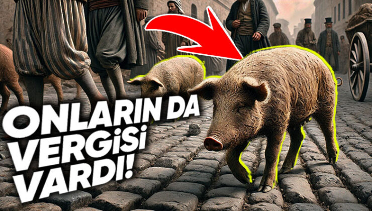 Bir Garip Vergi Daha: Osmanlı Devleti’nde Domuzlardan Neden “Resm-i Hınzır” İsminde Vergi Alınıyordu?