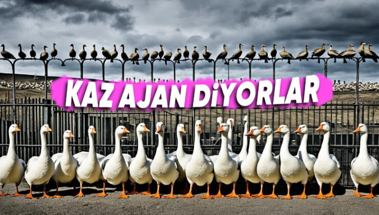 Brezilya’daki Bu Hapishanede Neden Kaz Gardiyan Kullanılıyor? Aklınıza Yatacak Sebepleri Var!