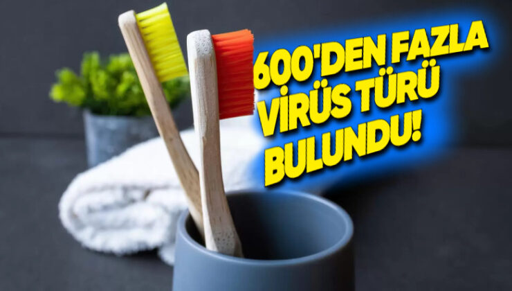 Diş Fırçaları ve Duş Başlıklarında 600’den Fazla Virüs Tipi Keşfedildi (Ama Çabucak Endişelenmeyin)