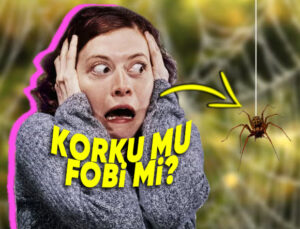 Düşününce Tıpkı Şeylermiş Üzere Duran Dehşet ve Fobinin Birbirinden Farkı Ne?