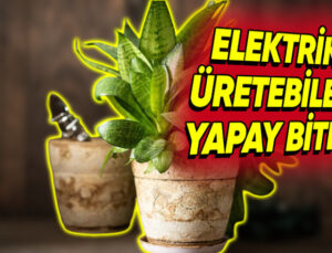 Elektrik Üreten ve Havayı Temizleyebilen Yapay Bitki Geliştirildi (Havasız Ortamlar İçin Birebir)