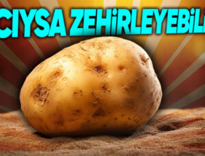 Hepimizin Severek Tükettiği “Patates” Aslında Bizi Zehirleme Gücüne Sahip: Âlâ de Nasıl?