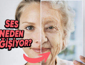 İnsanların Sesleri Yaşlandıkça Neden Değişmeye Başlar? (O Yaşlı Sesini Tanımamak Mümkün Değil!)