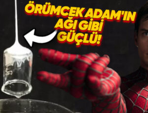 Örümcek Adam’ın Ağları Gerçek Oldu: Kendi Yükünün 80 Katını Kaldırabilen Yapışkan Sıvı Geliştirildi