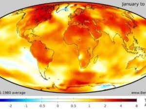 2024, Global Isınmanın 1,5 Dereceden Fazla Olduğu Birinci Yıl Olabilir