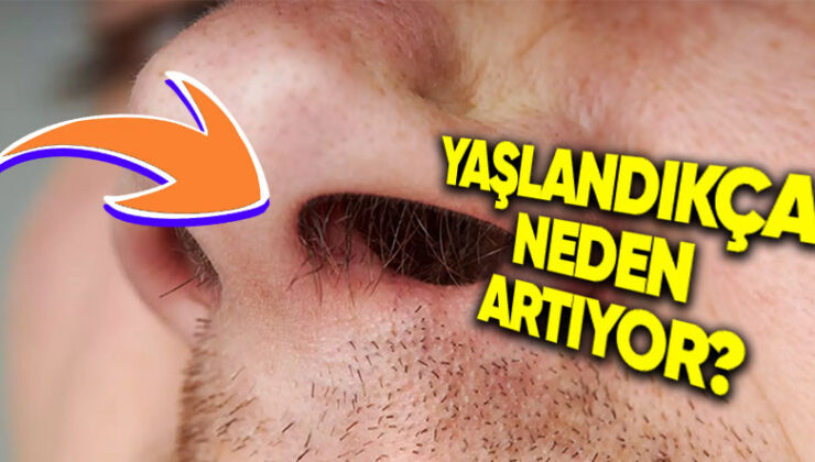 Çocukken Varlığı Aşikâr Bile Olmayan Burun Kılları Yaşlandıkça Neden Çoğalmaya Başlıyor?