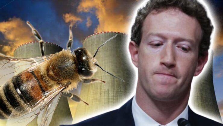 Meta’nın Nükleer Güç Yatırım Planlarına Arılar Mani Oldu