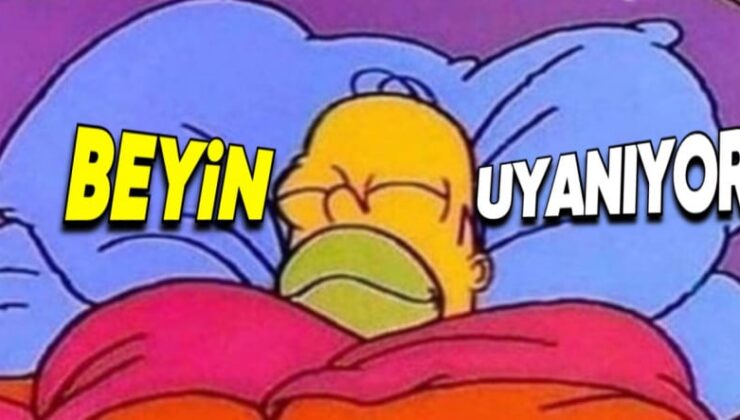 Beynimizin Geceleri Kaç Kez Uyandığını Öğrenince “E Biz Uyumuyormuşuz ki!” Diyeceksiniz