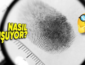 Dünyada Kimsede Aynısına Rastlanmayan Parmak İzleri Nasıl Oluşuyor?