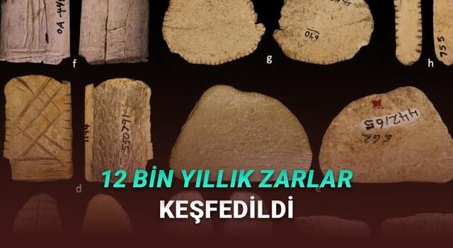 Oyun Oynamak, Varsayım Ettiğinizden Çok Daha Eski Bir Alışkanlık Olabilir: 12.000 Yıllık Zar Bulundu!
