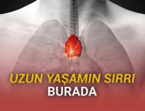 Varlığı Çok da Önemsenmeyen Bir Oranın, Uzun Ömürlü Olmasının Sırrı Olabileceği Bulundu